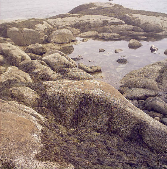 beach12.jpg