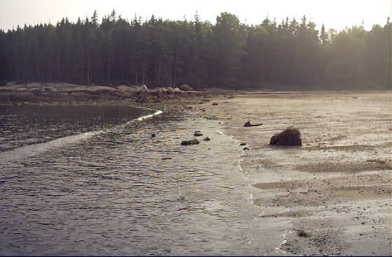 beach2.jpg