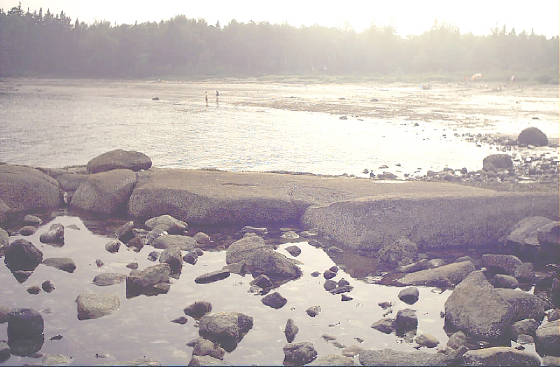 beach3.jpg