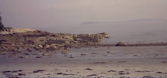 beach5.jpg