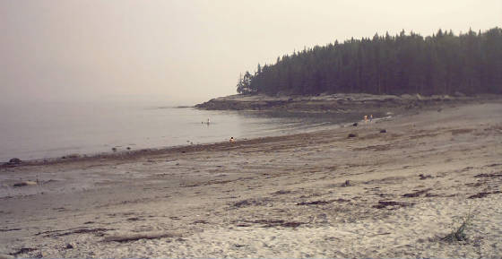 beach8.jpg