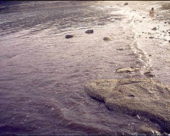 beach9.jpg