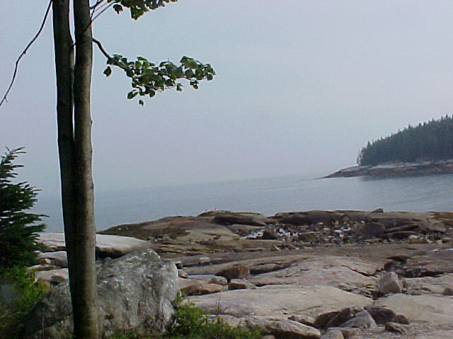 beach1.jpg