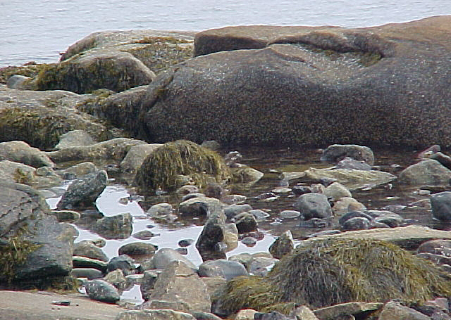 beach11.jpg