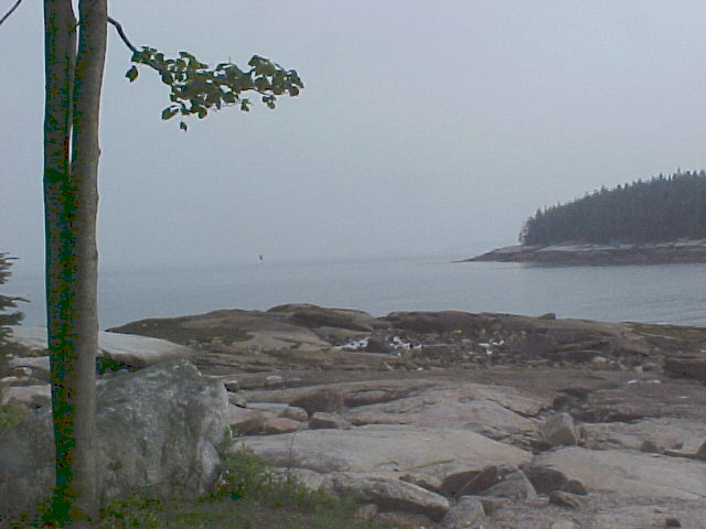 beach6.jpg