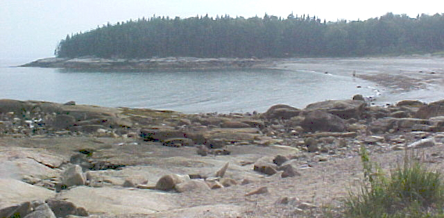 beach7.jpg