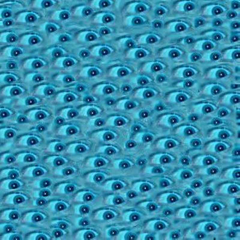 eyes.jpg