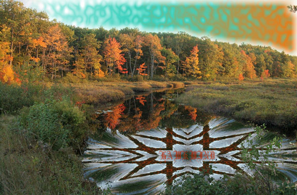 jeff-fall3.jpg